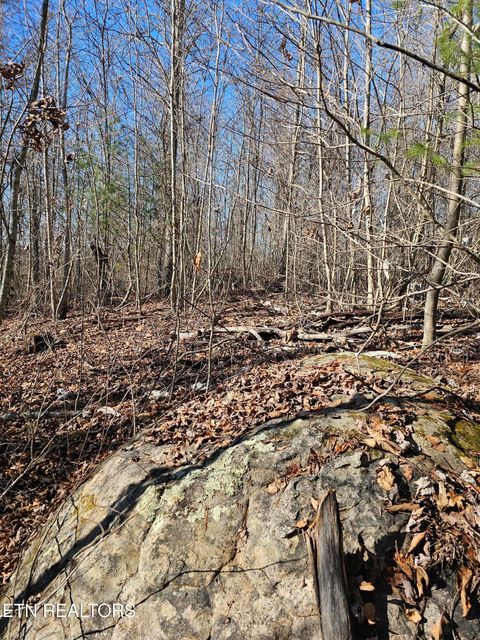 Tiny photo for Genesis Rd, Lancing, TN 37770 (MLS # 1324838)