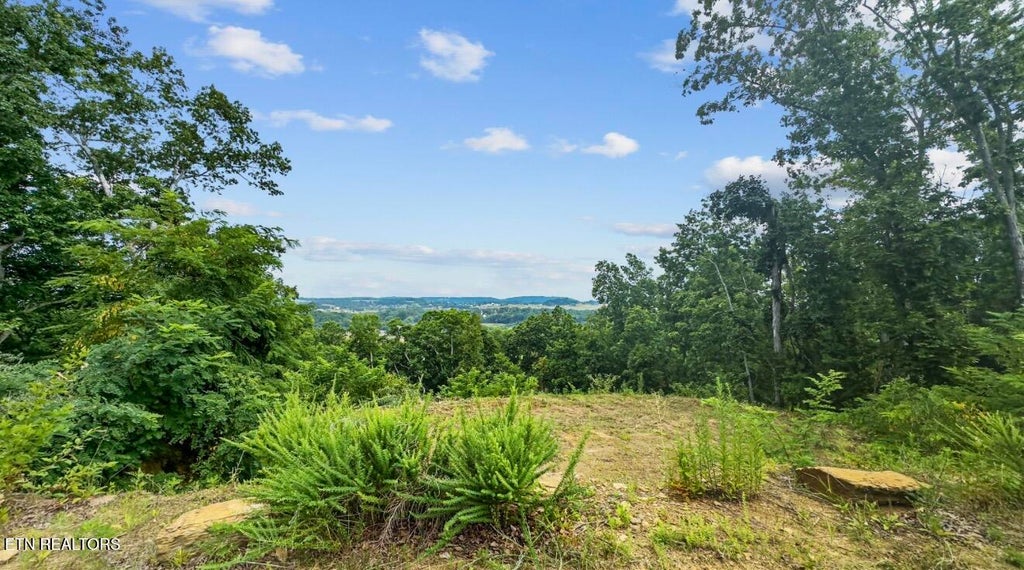 Photo of 2345 Paradise Way, Sevierville, TN 37876 (MLS # 1359197)