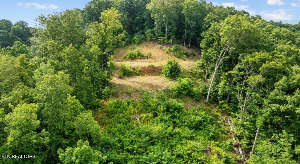 Photo of 2345 Paradise Way, Sevierville, TN 37876 (MLS # 1359197)
