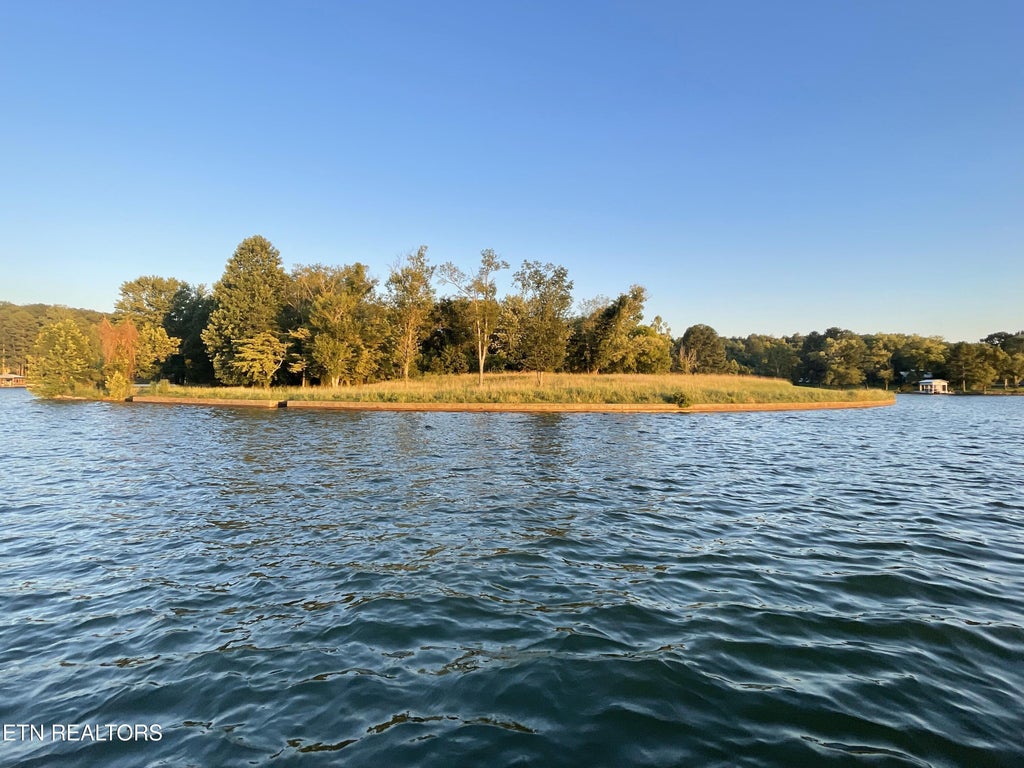Photo of Torbett Rd, Spring City, TN 37381 (MLS # 1279495)