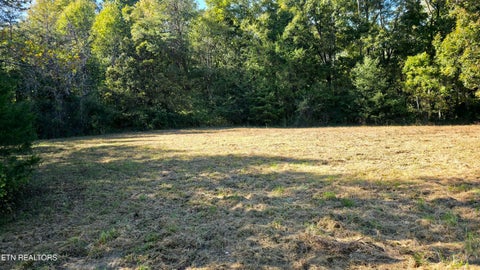 Tiny photo for 4061 Hwy 68, Madisonville, TN 37354 (MLS # 1360098)