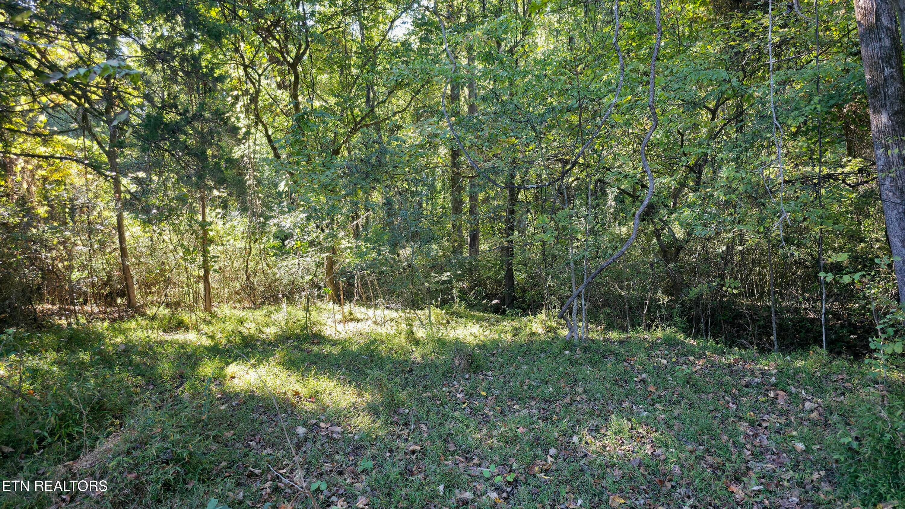 4061 TN-68 Hwy