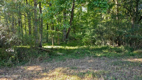 Tiny photo for 4061 Hwy 68, Madisonville, TN 37354 (MLS # 1360098)