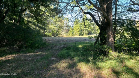 Tiny photo for 4061 Hwy 68, Madisonville, TN 37354 (MLS # 1360098)