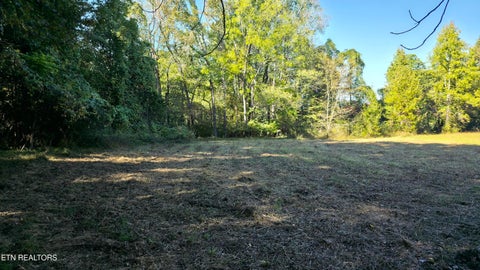 Tiny photo for 4061 Hwy 68, Madisonville, TN 37354 (MLS # 1360098)