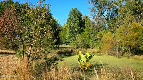 Tiny photo for 4061 Hwy 68, Madisonville, TN 37354 (MLS # 1360098)