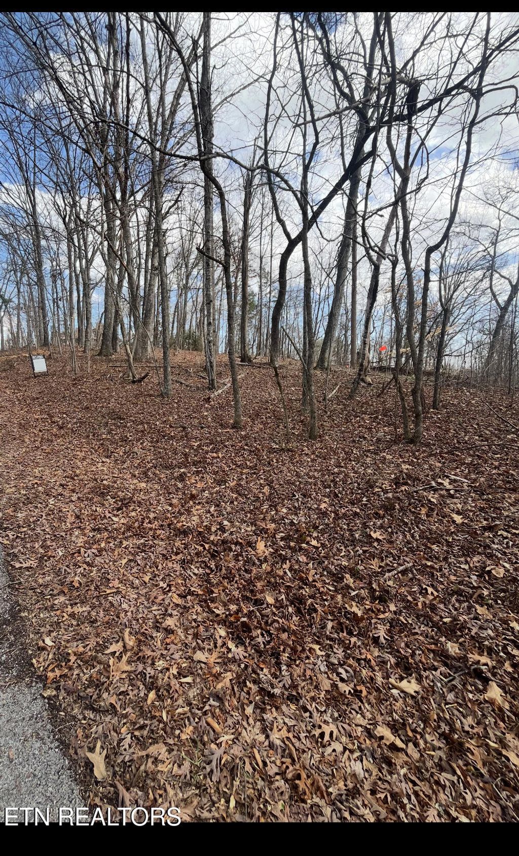 Photo of 619 Ernie Roberts Road, Rutledge, TN 37861 (MLS # 1293453)