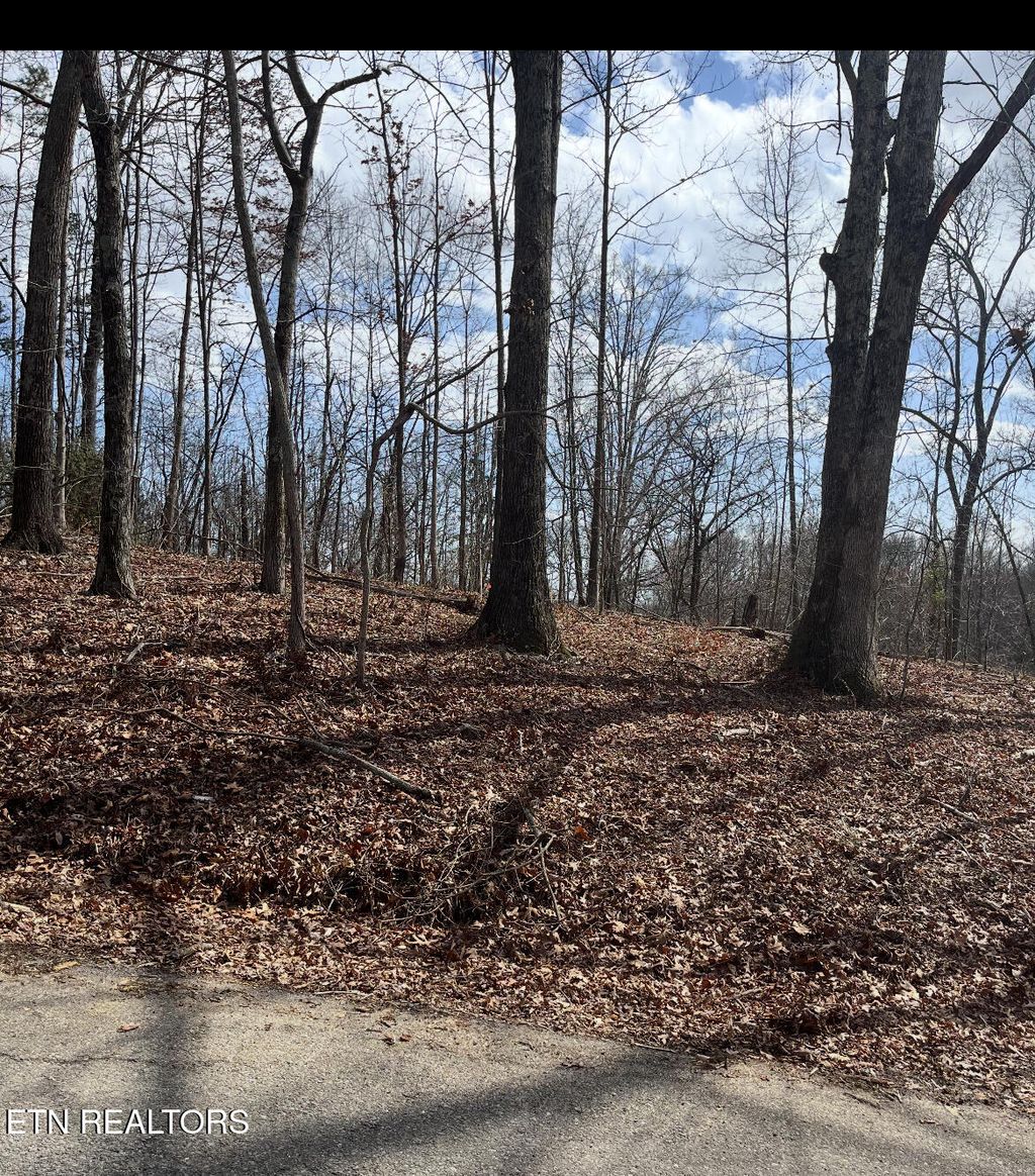 Photo of 619 Ernie Roberts Road, Rutledge, TN 37861 (MLS # 1293453)