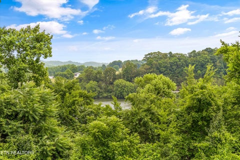 Tiny photo for 16 Radcliff Terrace, Oak Ridge, TN 37830 (MLS # 1343170)