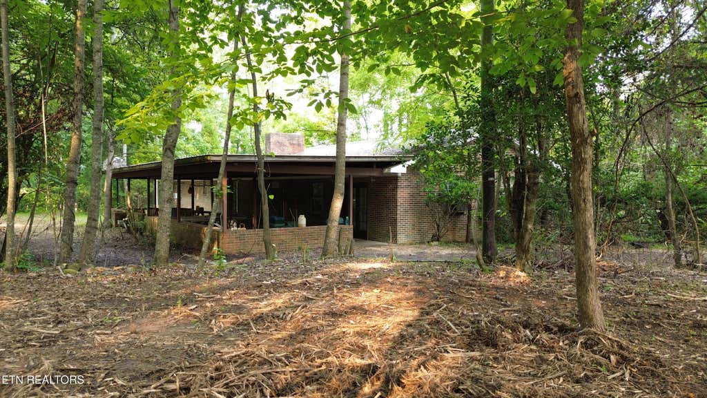 Photo of 276 Oak Drive, Spring City, TN 37381 (MLS # 1350497)