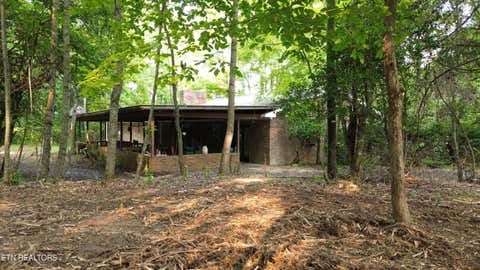 Photo of 276 Oak Drive, Spring City, TN 37381 (MLS # 1350497)