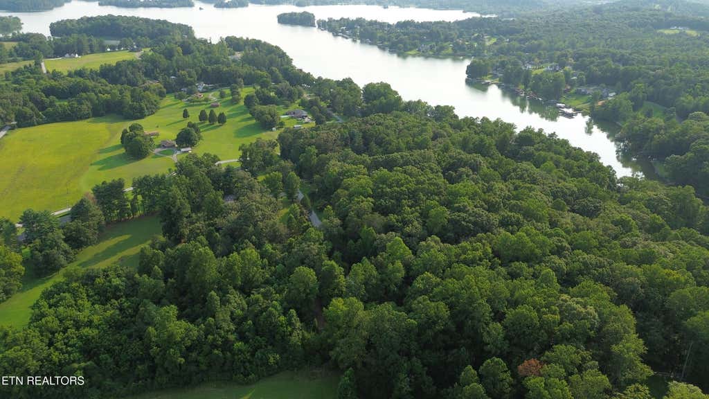 Photo of 276 Oak Drive, Spring City, TN 37381 (MLS # 1350497)