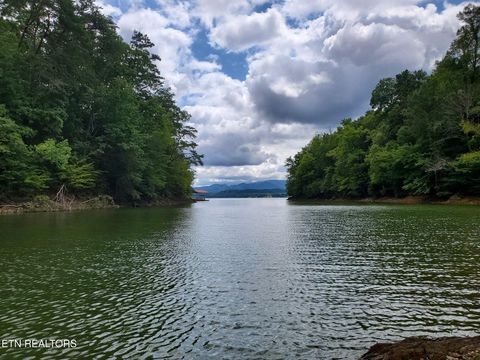 Fortunato Drive Baneberry TN 37890