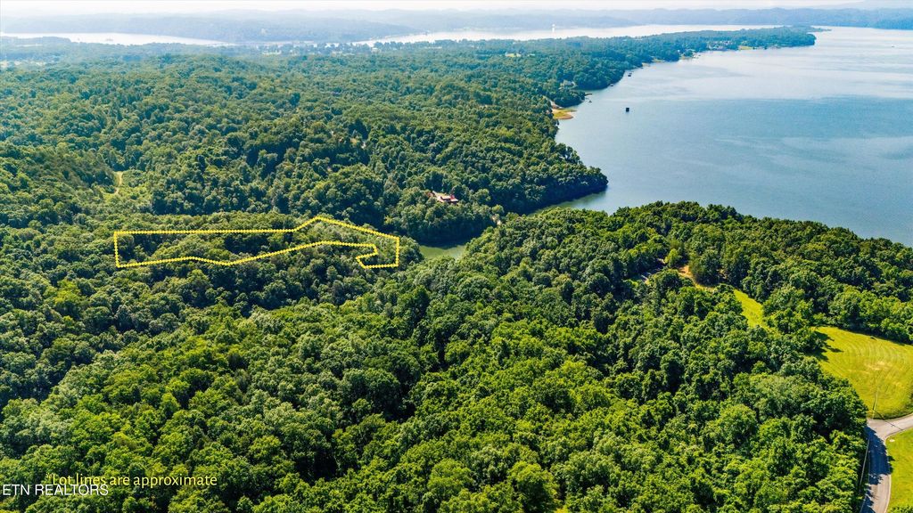 Photo of Fortunato Drive, Baneberry, TN 37890 (MLS # 1307175)