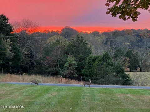 Tiny photo for 1106 Creek Rd, Strawberry Plains, TN 37871 (MLS # 1360244)