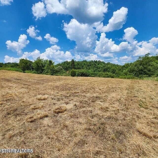 Photo of 38 Windward Blvd, Tazewell, TN 37879 (MLS # 1353921)