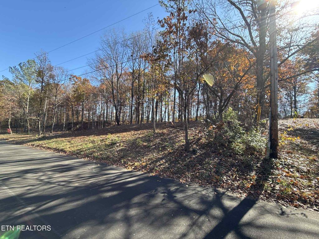 Photo of 0 Miller Circle, Seymour, TN 37865 (MLS # 1321718)