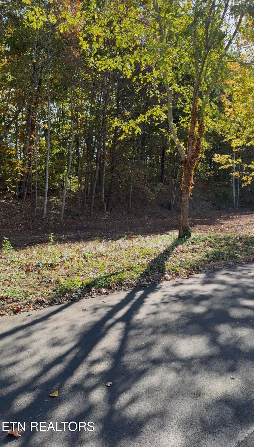 Photo of 0 Miller Circle, Seymour, TN 37865 (MLS # 1321718)