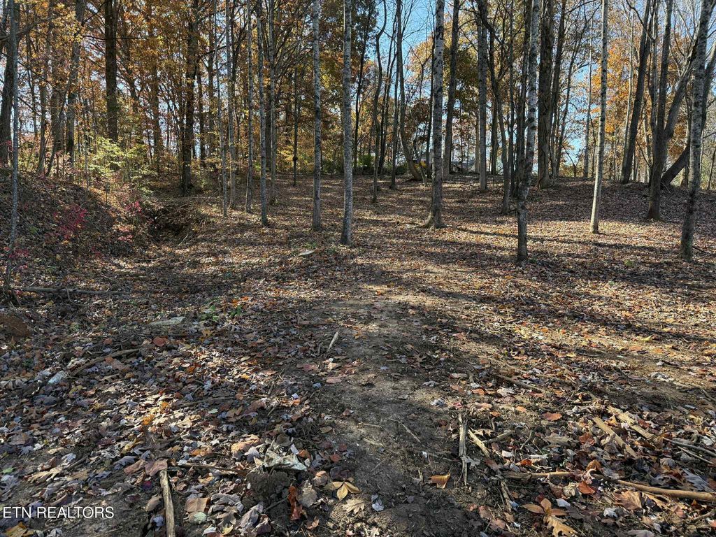 Photo of 0 Miller Circle, Seymour, TN 37865 (MLS # 1321718)