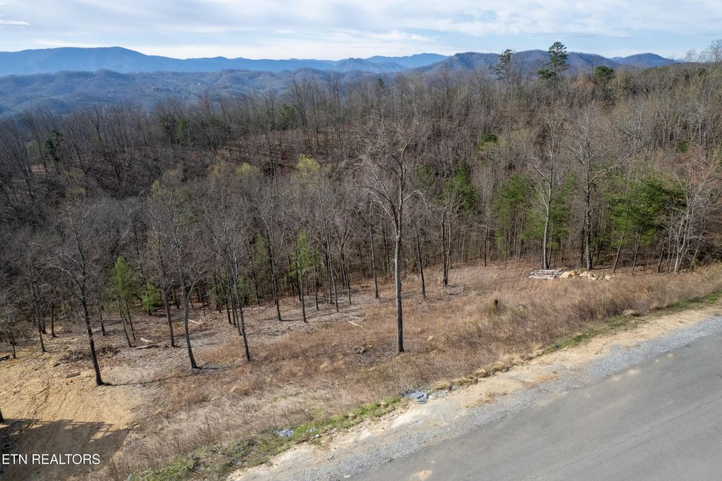 Photo of 102 Laurel Cove Tr, Sevierville, TN 37862 (MLS # 1334303)