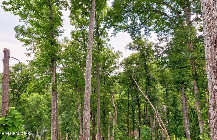 Photo of 329 Silverbell Lane, Gatlinburg, TN 37738 (MLS # 1349145)