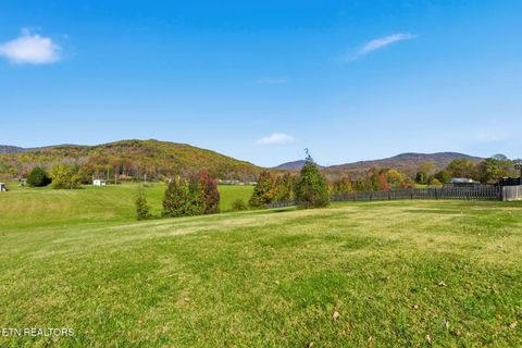 Tiny photo for 155 Mountain Vista Rd, Oliver Springs, TN 37840 (MLS # 1317494)