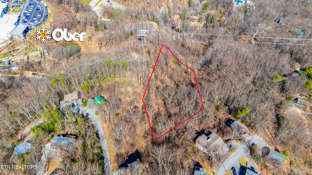 Photo of 0 Tyrolea Court, Gatlinburg, TN 37738 (MLS # 1295445)