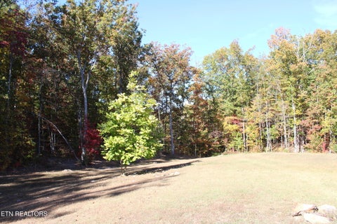 Tiny photo for 717 Old Hiram Crabtree Rd, Jamestown, TN 38556 (MLS # 1360269)