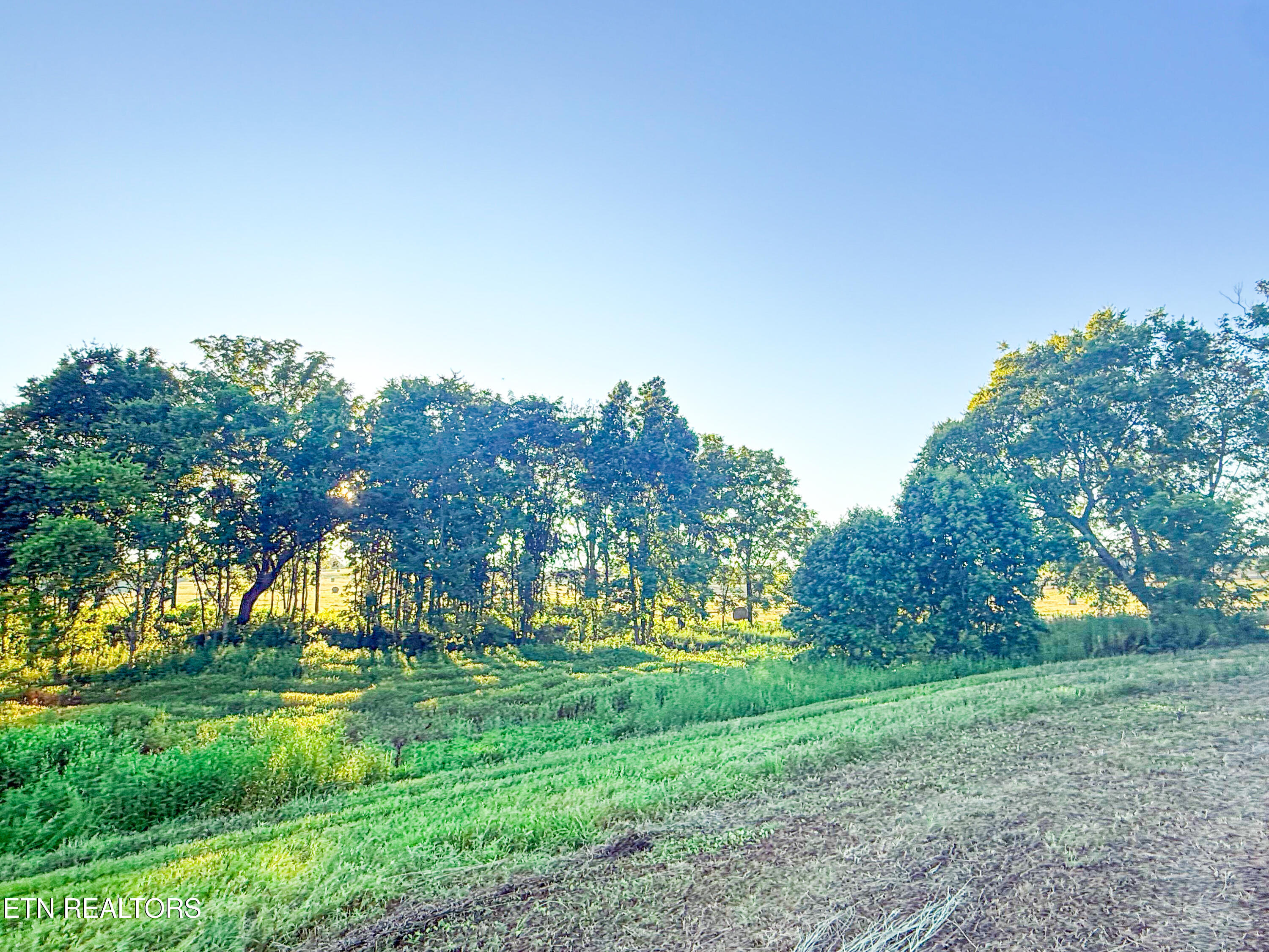 Lot 20 Summerset Drive
