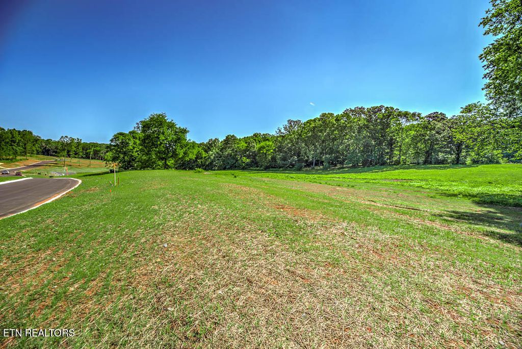 Photo of 321018 Herbert Drive, Greenback, TN 37742 (MLS # 1239418)