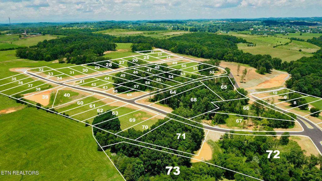 Photo of 321018 Herbert Drive, Greenback, TN 37742 (MLS # 1239418)