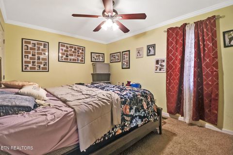 Tiny photo for 625 Mccartt St, Wartburg, TN 37887 (MLS # 1326781)