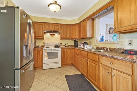 Tiny photo for 625 Mccartt St, Wartburg, TN 37887 (MLS # 1326781)