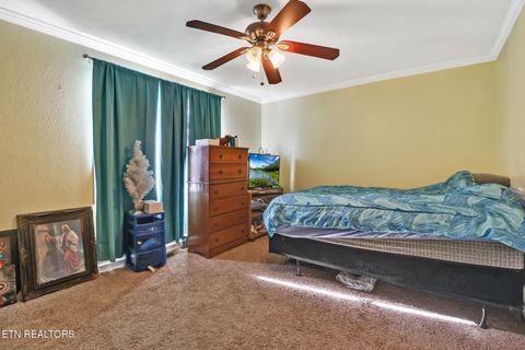 Tiny photo for 625 Mccartt St, Wartburg, TN 37887 (MLS # 1326781)
