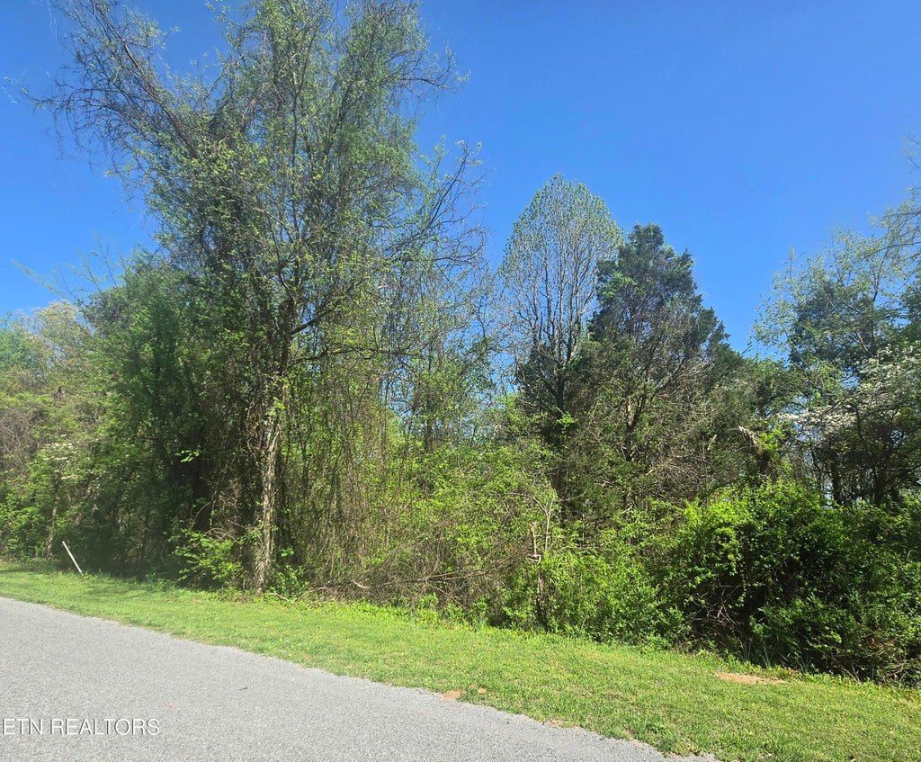 Photo of 68 King Hill Rd, Spring City, TN 37381 (MLS # 1296677)