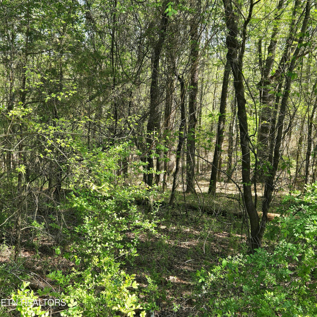 Photo of 68 King Hill Rd, Spring City, TN 37381 (MLS # 1296677)