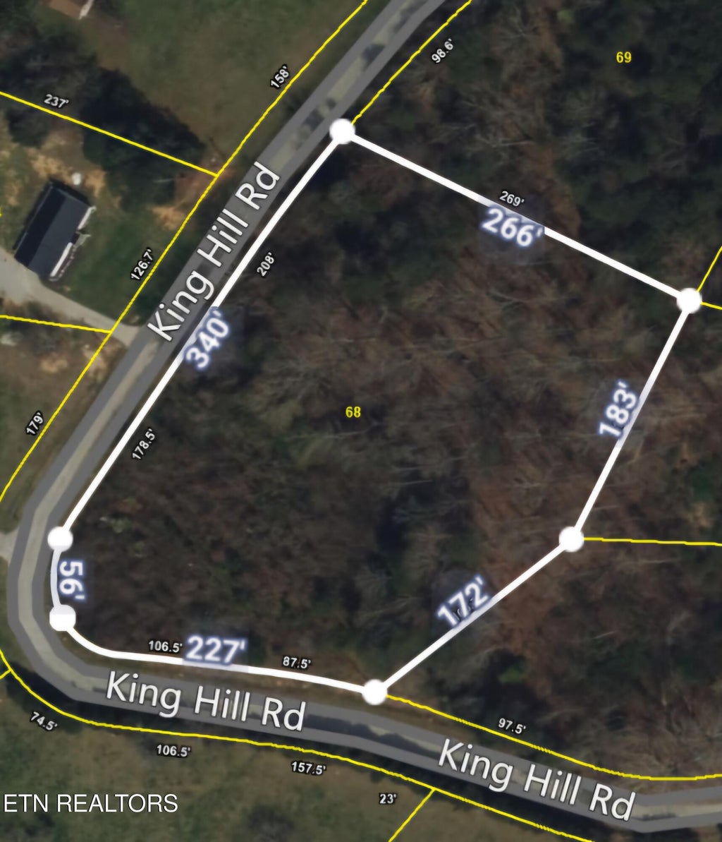Photo of 68 King Hill Rd, Spring City, TN 37381 (MLS # 1296677)