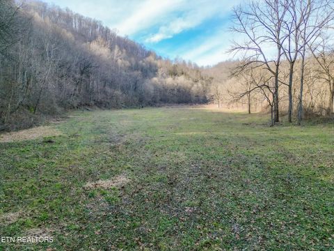 Tiny photo for 1576 Charlie Allen Lane, Whitleyville, TN 38588 (MLS # 1332269)