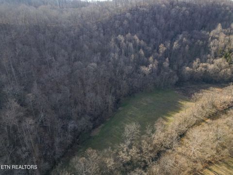 Tiny photo for 1576 Charlie Allen Lane, Whitleyville, TN 38588 (MLS # 1332269)