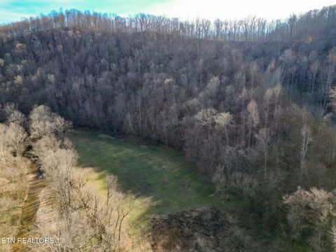 Tiny photo for 1576 Charlie Allen Lane, Whitleyville, TN 38588 (MLS # 1332269)