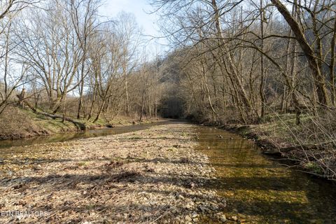 Tiny photo for 1576 Charlie Allen Lane, Whitleyville, TN 38588 (MLS # 1332269)