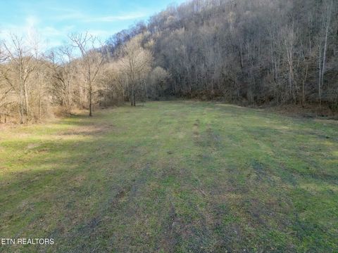 Tiny photo for 1576 Charlie Allen Lane, Whitleyville, TN 38588 (MLS # 1332269)
