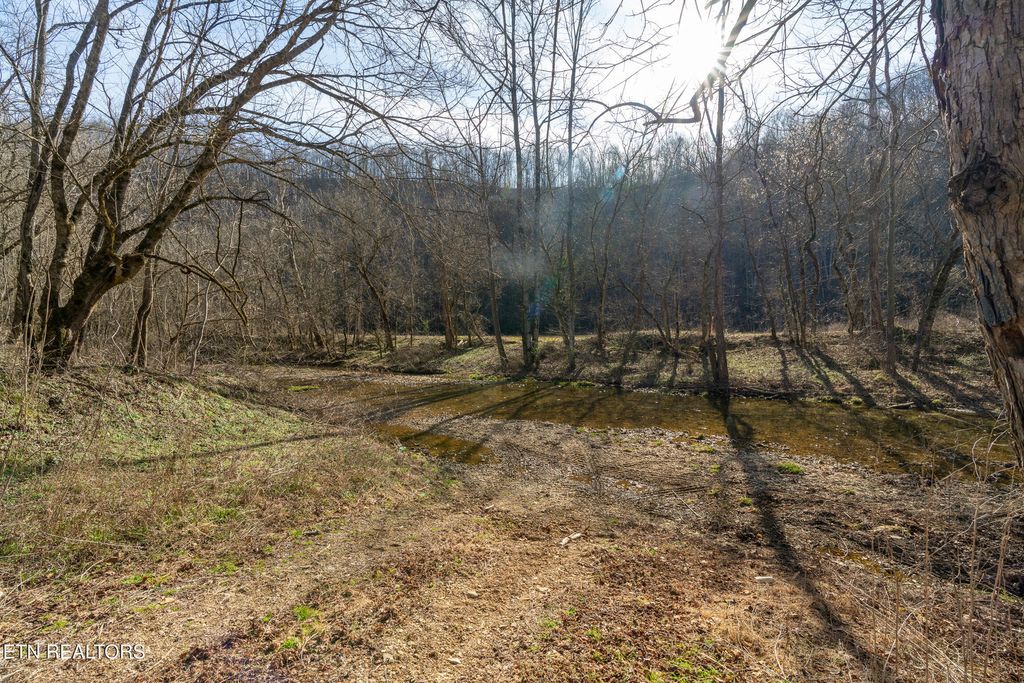 Photo of 1576 Charlie Allen Lane, Whitleyville, TN 38588 (MLS # 1332269)
