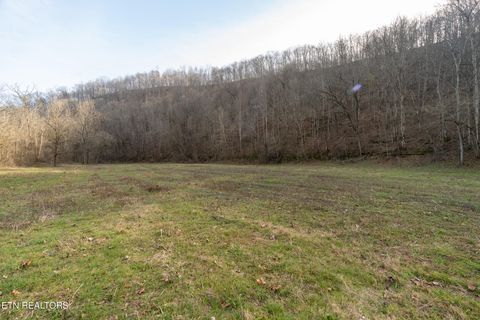 Tiny photo for 1576 Charlie Allen Lane, Whitleyville, TN 38588 (MLS # 1332269)
