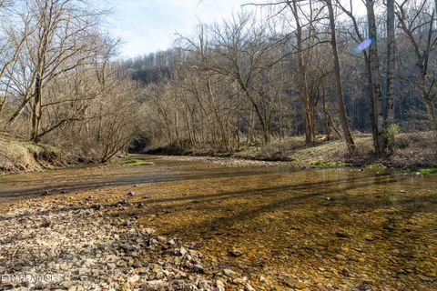 Tiny photo for 1576 Charlie Allen Lane, Whitleyville, TN 38588 (MLS # 1332269)