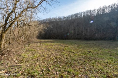 Tiny photo for 1576 Charlie Allen Lane, Whitleyville, TN 38588 (MLS # 1332269)
