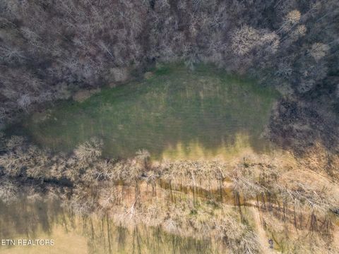 Tiny photo for 1576 Charlie Allen Lane, Whitleyville, TN 38588 (MLS # 1332269)