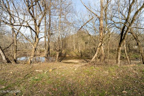 Tiny photo for 1576 Charlie Allen Lane, Whitleyville, TN 38588 (MLS # 1332269)