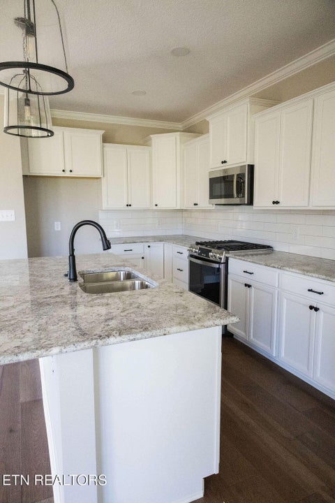 Tiny photo for 2200 Lulu Lizzy Lane, Knoxville, TN 37932 (MLS # 1359847)