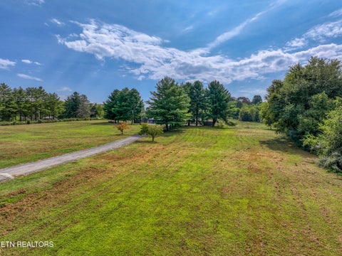 Tiny photo for 10769 W Lee Hwy, Loudon, TN 37774 (MLS # 1354987)